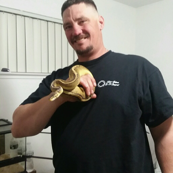 Meet your Posher, Benjamin - Picture 1 of 1